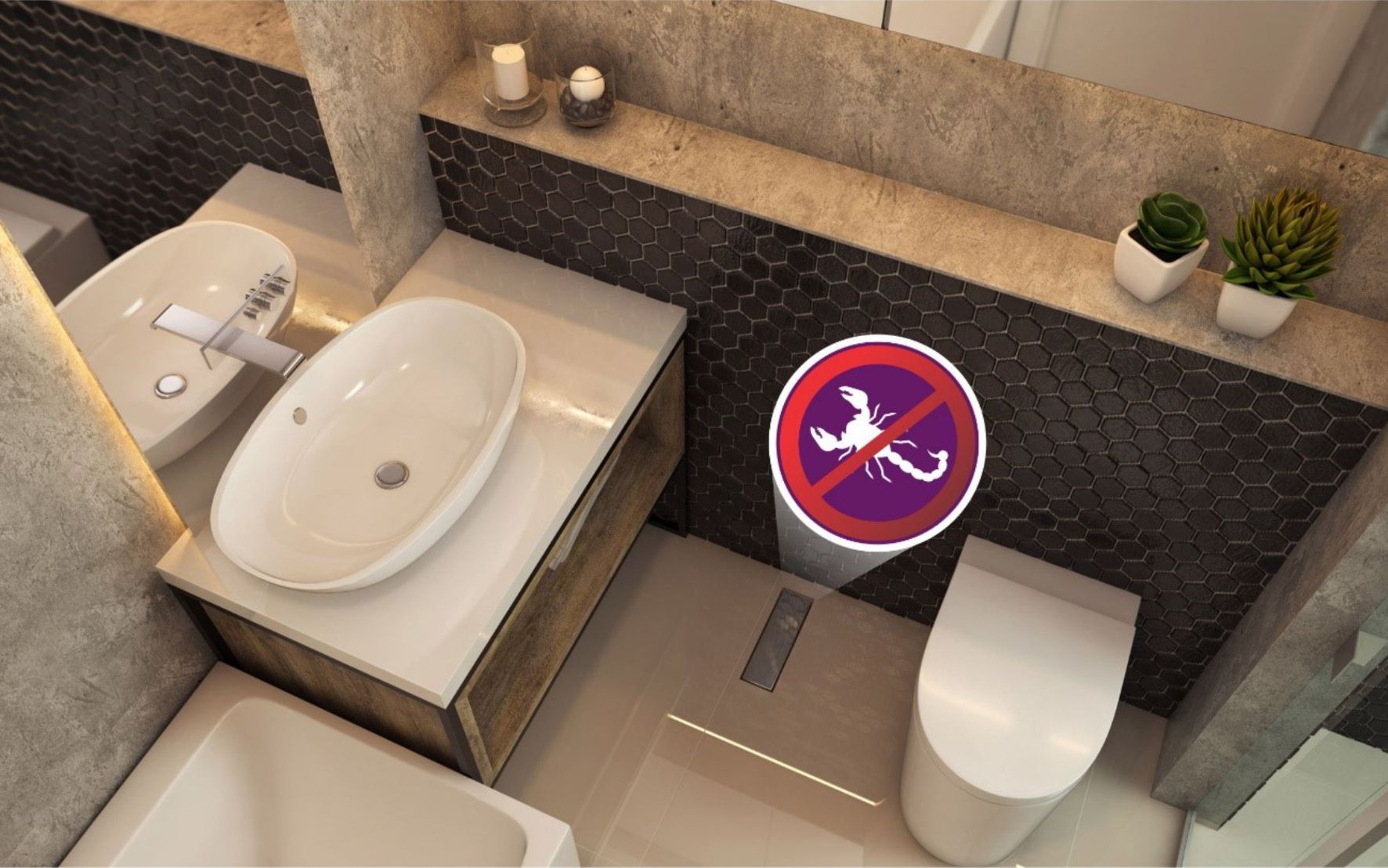 proliferacao-de-escorpioes-solucoes-da-contrucao-civil-combatem-o-problema